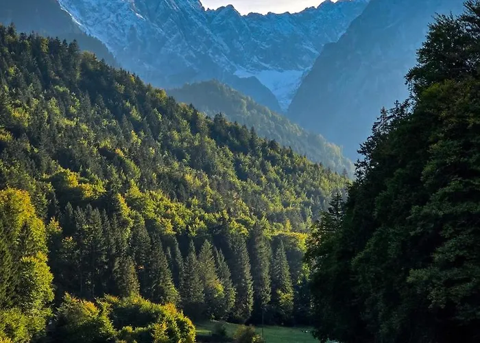 Gallery Garden Apartment *